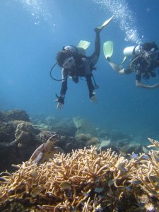 もうちょっと寄ってみたら？