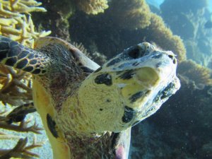 ちょっとアングルを変えてもカメラ目線