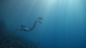 フリーダイバー加賀谷まり