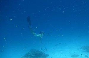 お気に入りのポイント