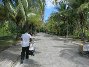 島から島への移動手段