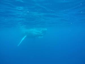 一緒にいた友達が撮った写真